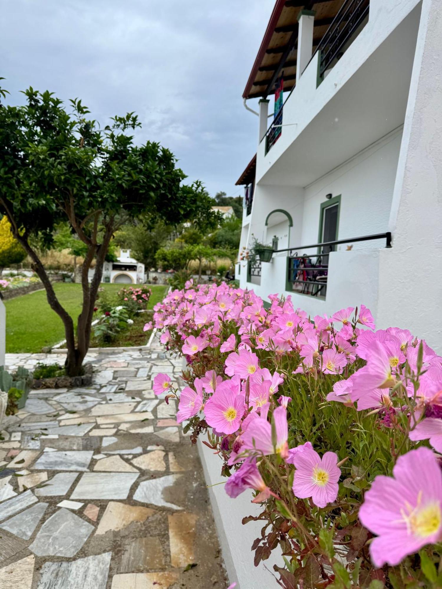 Apartment Irene Arillas (Corfu)